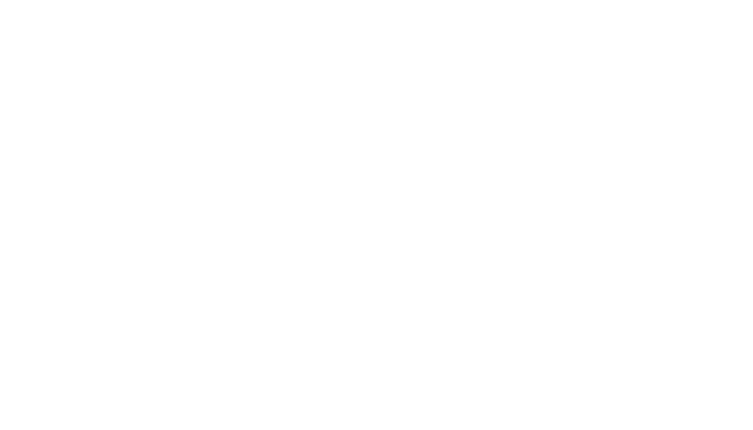 MEIER Logo