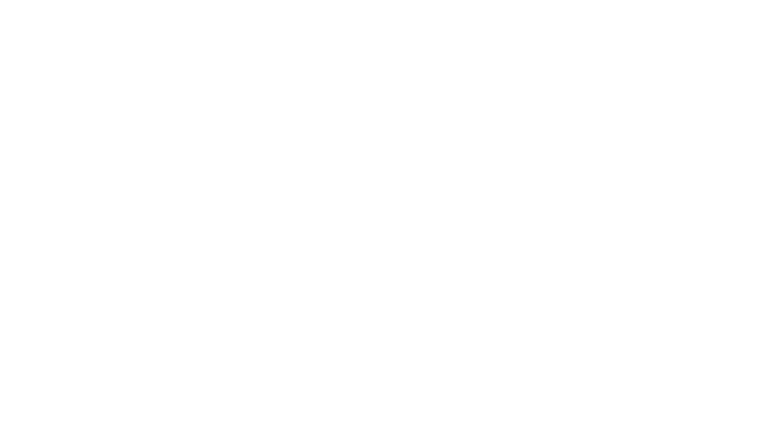 MEIER Logo